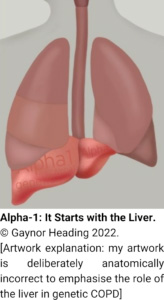 Alpha-starts-with-the-Liver