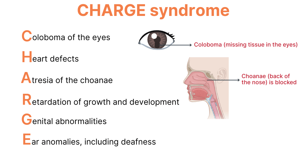 CHARGE syndrome acronym CHARGE is used as an acronym to describe some of the major and minor features. This include C for coloboma of the yes, H for heart defects, A for atresia of the chonae, R for retardation of growth and development, G for genital abnormalities and E for ear anomalies, including deafness.